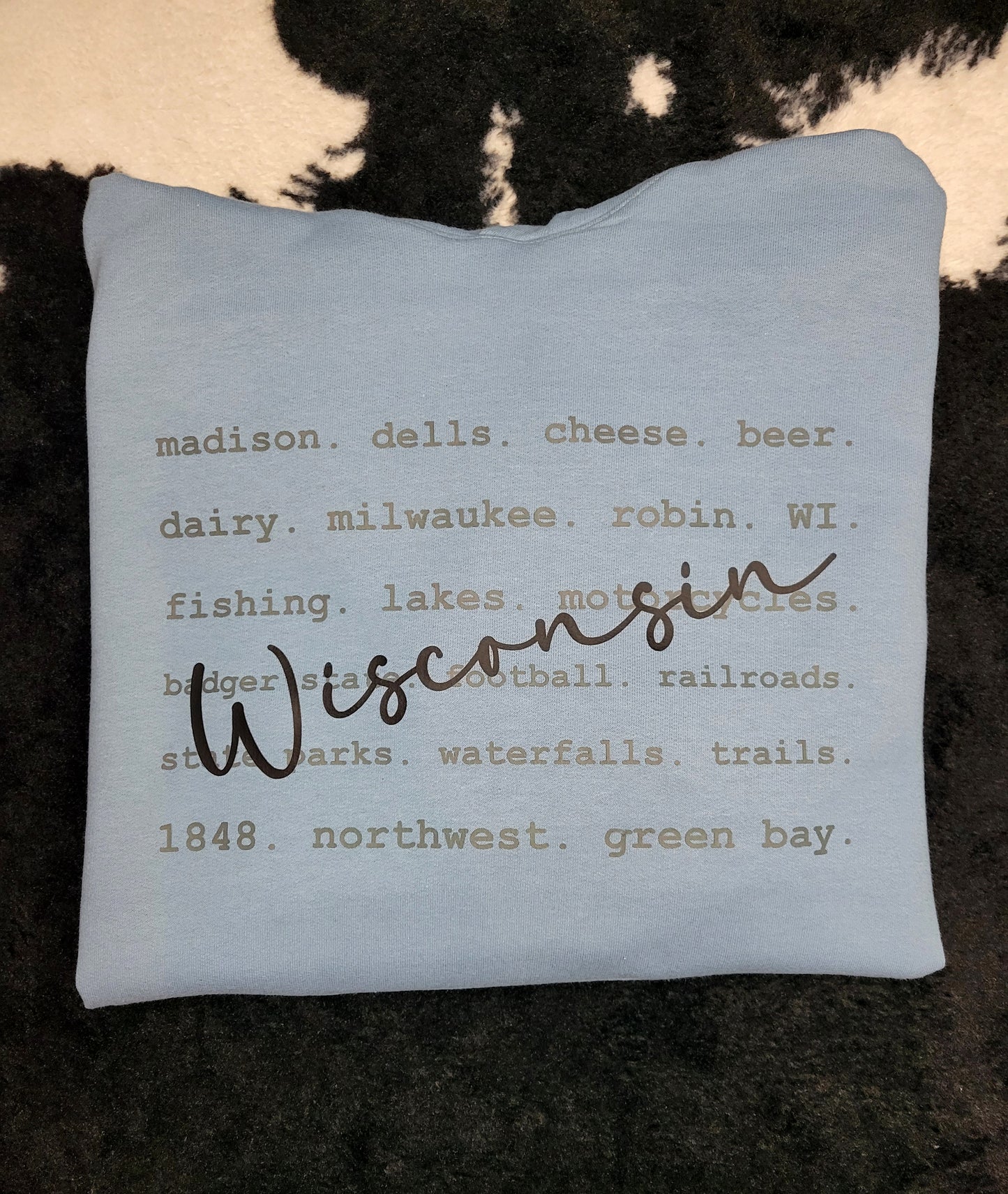 Wisconsin Hooded Sweatshirt